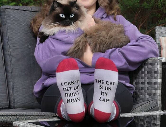 Person wearing socks reading "I can't get up, the cat is on my lap," holding a fluffy cat; funniest Amazon finds.