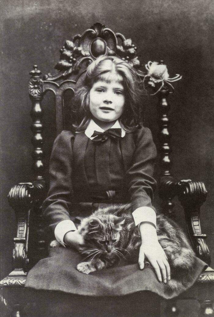 Victorian era girl in formal dress sitting on an ornate chair with a cat on her lap.