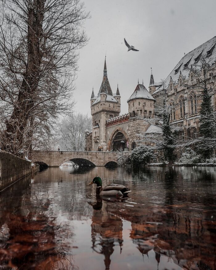 Historic architectural feats with stone castle towers and a bridge over a reflective river in a snowy winter landscape.