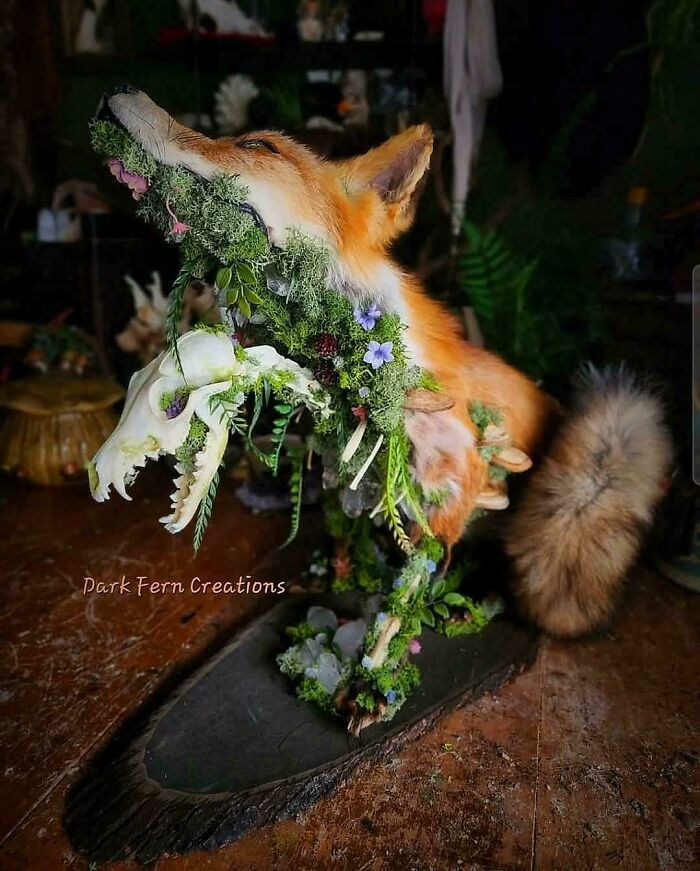 Taxidermy fox adorned with flowers and moss, an example of awful taste but great e*******n in creative art.