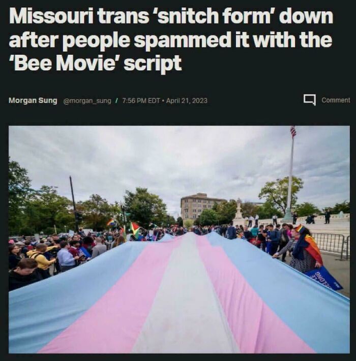 Large crowd holding a giant transgender pride flag during a public event related to unique sentences people said.