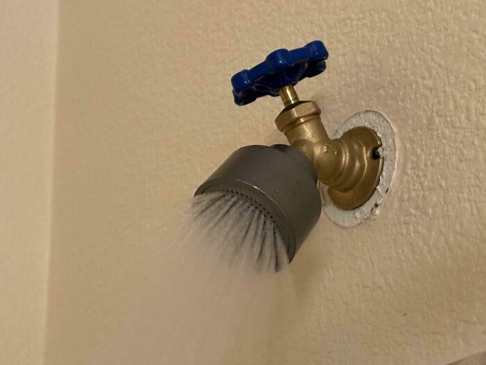 Too Tall For A Normal Shower Head. This Setup Is Just Right