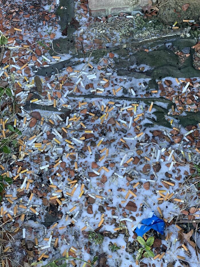 Ground covered with hundreds of cigarette butts and debris showing neighbors being horrific people to shame.