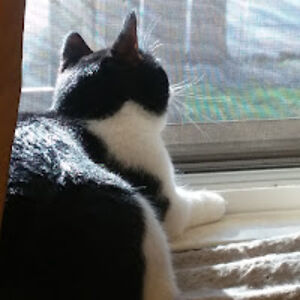 lizrutherford avatar