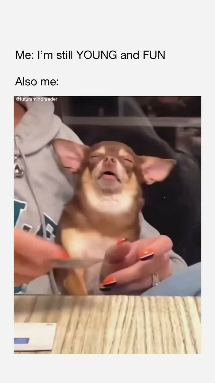 Small dog with a funny expression being held during a humorous moment for people who use humor as a coping mechanism.