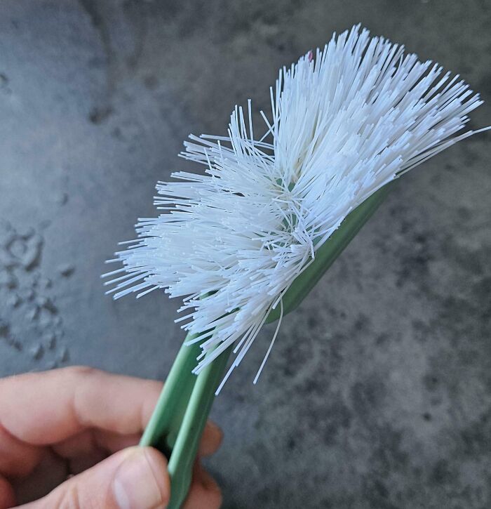 Low-quality item: Close-up of a broken cleaning brush with bent bristles.