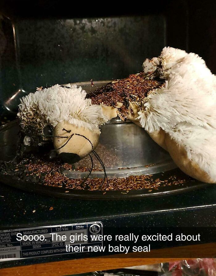 Low-quality item: burned plush toy in a microwave.