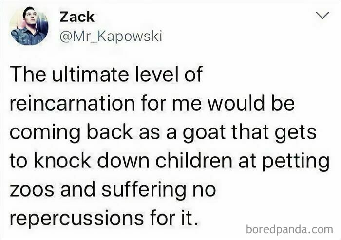 Text tweet about coming back as a goat in a petting zoo, part of random funny memes.