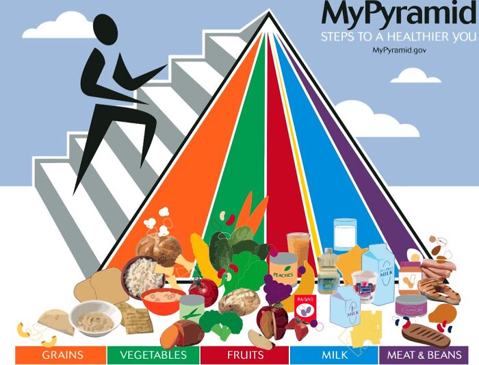 MyPyramid dietary guidelines with food groups displayed, highlighting grains, vegetables, fruits, milk, and meat & beans.