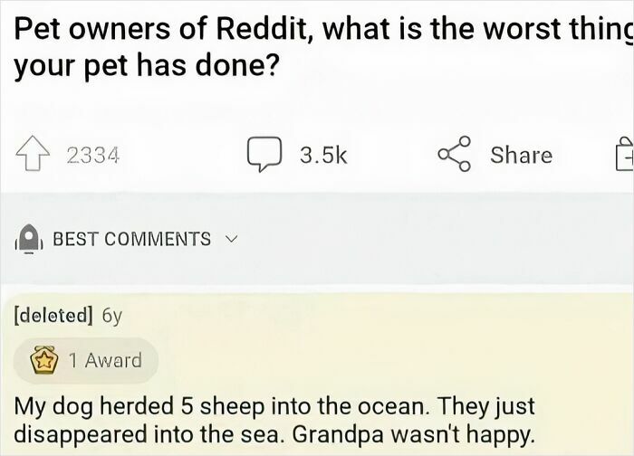 A funny Reddit comment about a dog herding sheep into the ocean, causing an upset grandpa.