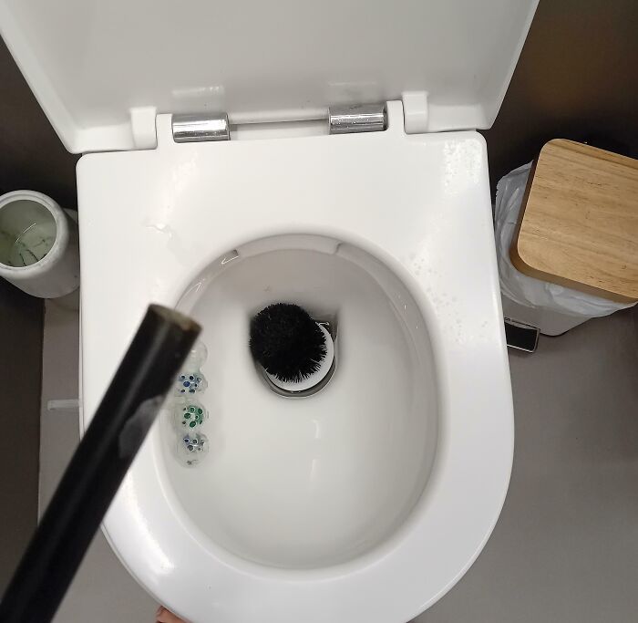 Toilet scene showing a low-quality toilet brush submerged in water.
