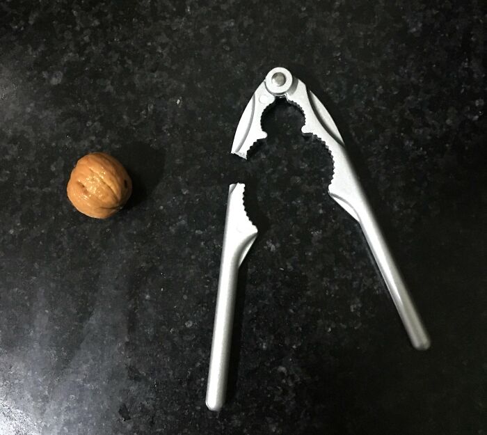 Broken nutcracker beside a walnut, illustrating low-quality items people bought.