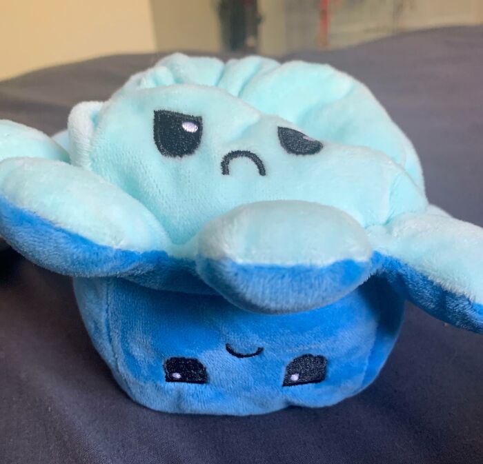 Low-quality item showing a reversible plush toy with a sad and happy face on a gray surface.