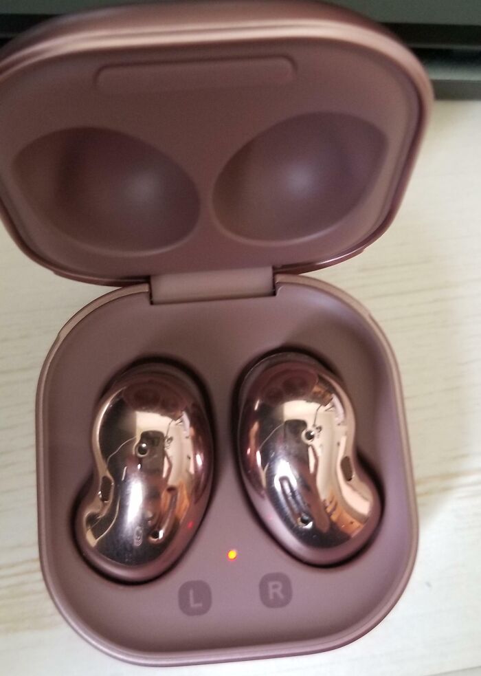 Shiny bean-shaped earbuds in a case, example of low-quality items people bought.