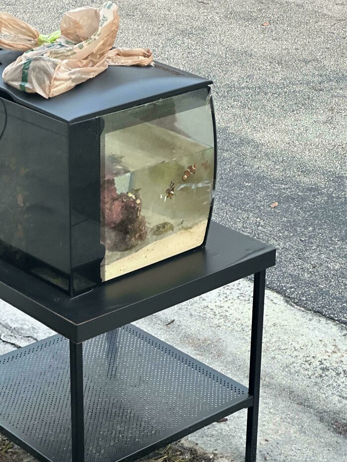 Old aquarium with clownfish left on a street curb, showing a clear example of neighbors being so horrific people just had to shame them.