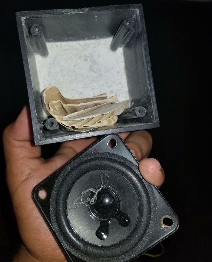 Low-quality items: broken speaker in hand revealing cardboard inside.