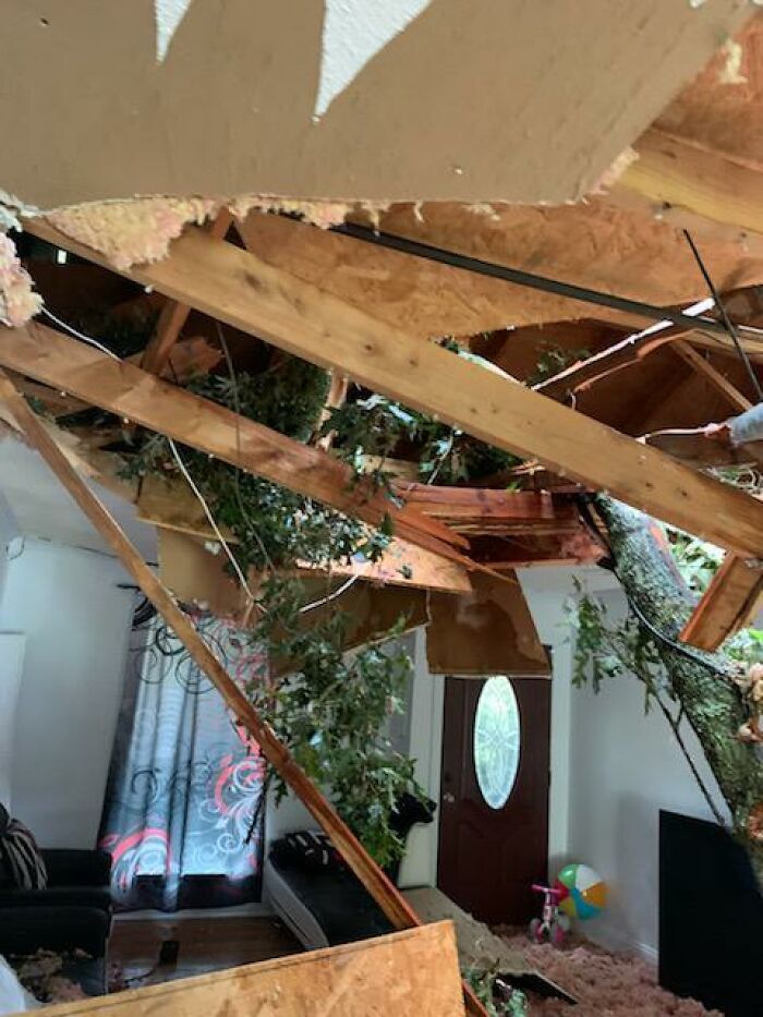 A tree crashes through a living room ceiling, highlighting nature disaster resilience challenges.