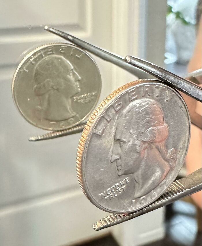 Two coins being inspected with tweezers, illustrating the allure for numismatists.