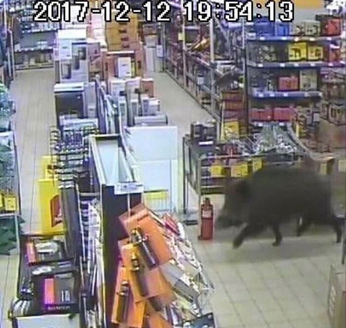 From Bad Decisions To Bizarre Timing, Here Are 40 Cursed Images That Defy Explanation