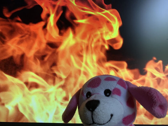 A plush toy dog with pink spots in front of a fiery background for a funny camera roll find.