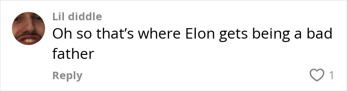 A social media comment about Elon Musk being a bad father. A social media comment about Elon Musk being a bad father.