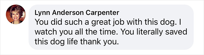 Comment praising a pet groomer for helping neglected animals, expressing gratitude for saving a dog&rsquo;s life.