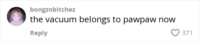 Comment about vacuum ownership, 371 likes, from user with profile picture.