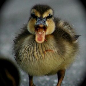 olivia2014mtz avatar