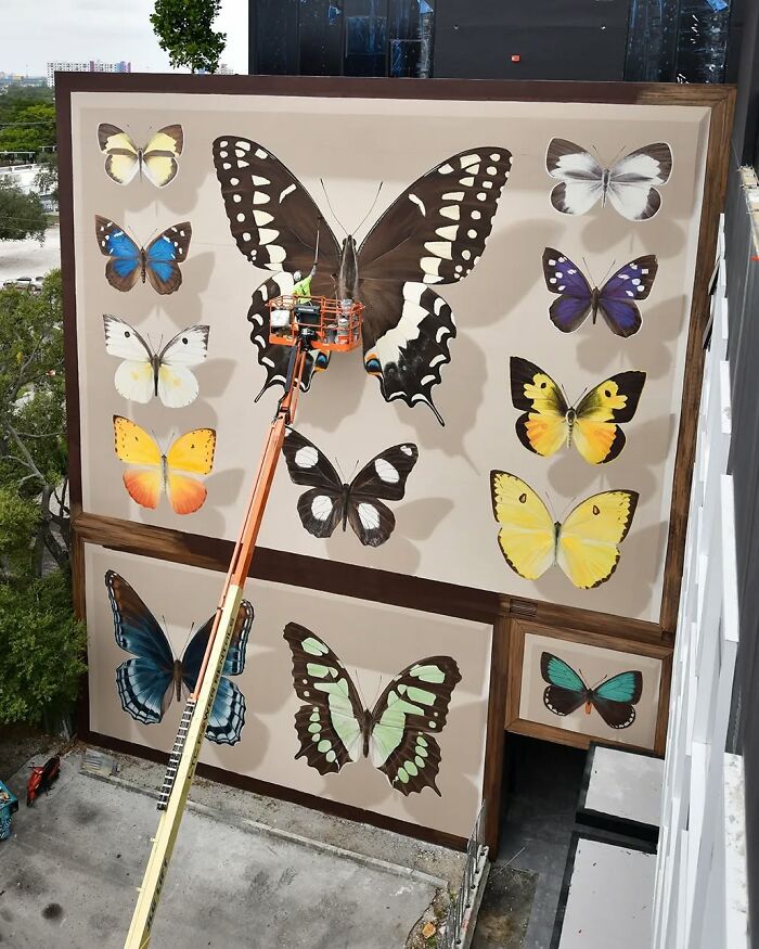 French artist painting hyper-realistic butterfly murals on a large outdoor wall using a lift.