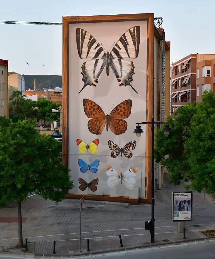 Hyper-realistic mural of accurate butterflies painted on a building facade by a French artist.