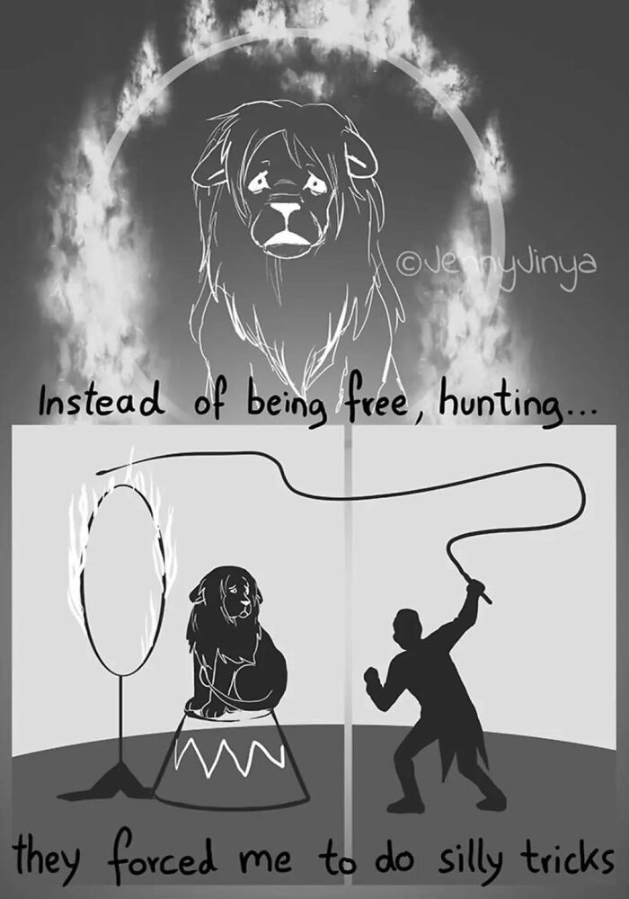 Emotional animal comic featuring a sad lion in a circus setting, reflecting on freedom versus performing tricks. Emotional animal comic featuring a sad lion in a circus setting, reflecting on freedom versus performing tricks.