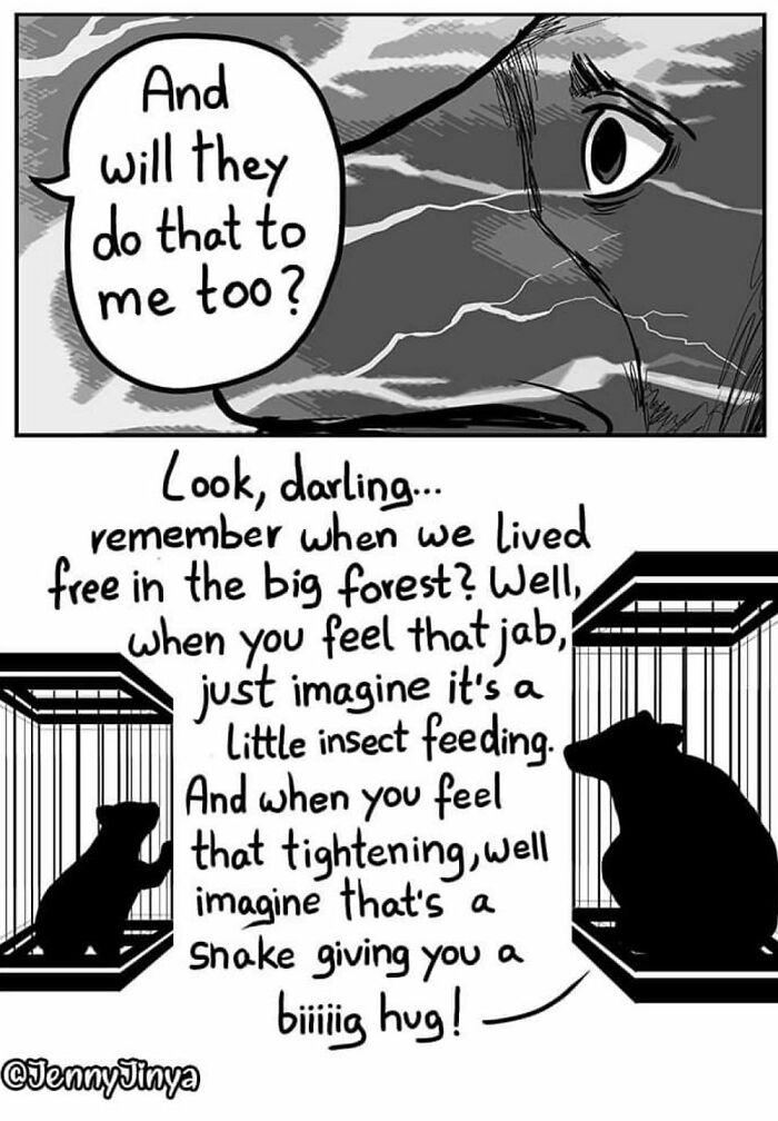 Emotional animal comic with two bears in cages discussing past freedom and comforting each other. Emotional animal comic with two bears in cages discussing past freedom and comforting each other.