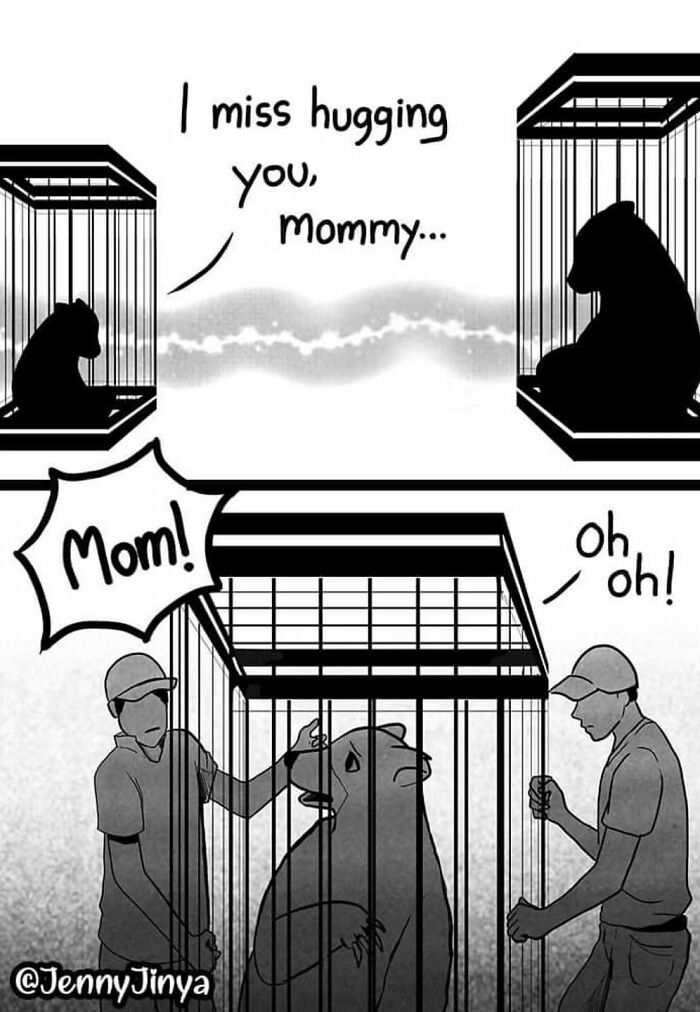 Emotional animal comic showing a bear missing its mommy, separated by cages. Emotional animal comic showing a bear missing its mommy, separated by cages.