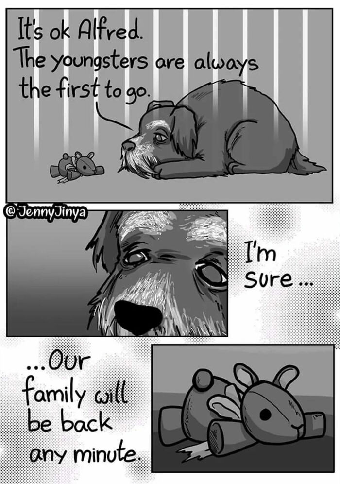 Emotional animal comic featuring a sad dog talking about family and youngsters leaving. Emotional animal comic featuring a sad dog talking about family and youngsters leaving.