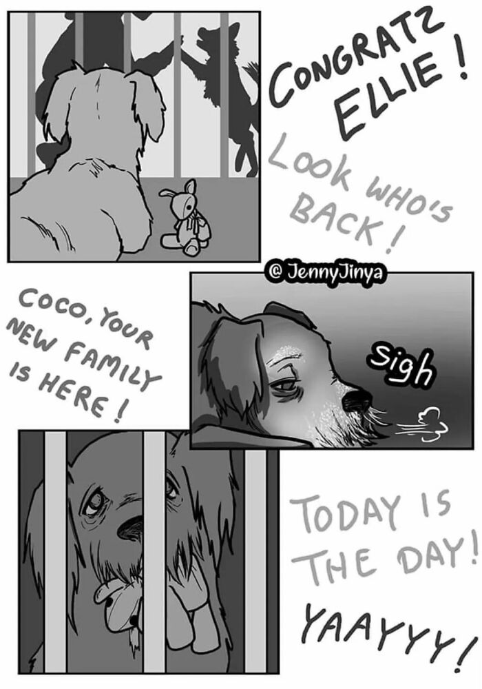 Comic strip showing emotional animals, a sad dog in a cage, and messages of adoption and new beginnings. Comic strip showing emotional animals, a sad dog in a cage, and messages of adoption and new beginnings.