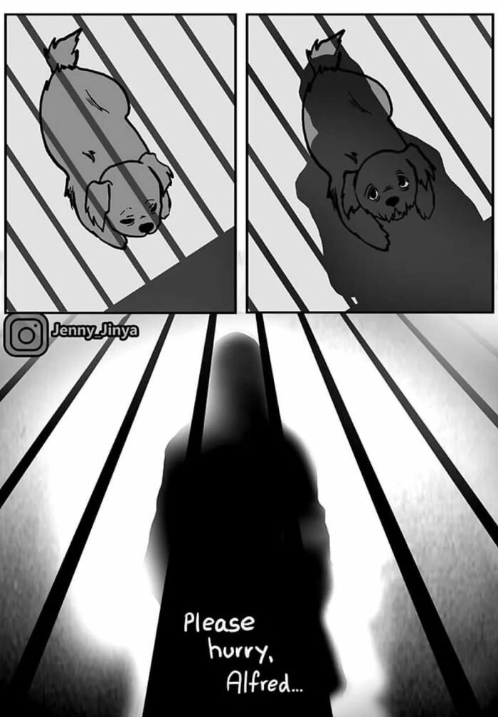 Emotional animal comic strip with a sad dog and a mysterious silhouette. Emotional animal comic strip with a sad dog and a mysterious silhouette.