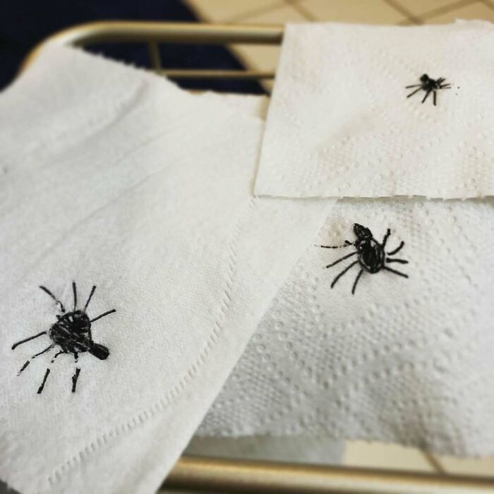 Realistic fake spiders placed on toilet paper in a bathroom prank by hilarious kids.