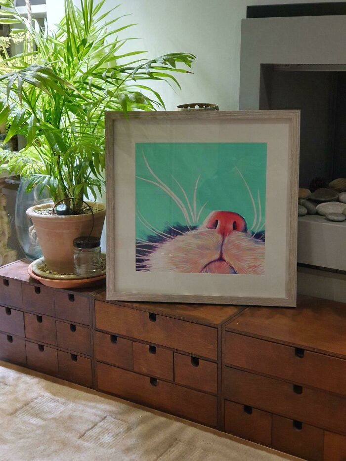 Artist Creates "Boop" Painting Of A Cat's Nose And Finds The Cat&rsquo;s Owner By Pure Chance