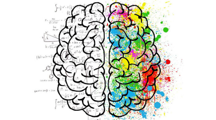 Illustration of the brain showing left side with math equations and right side with colorful splashes, highlighting brain function.