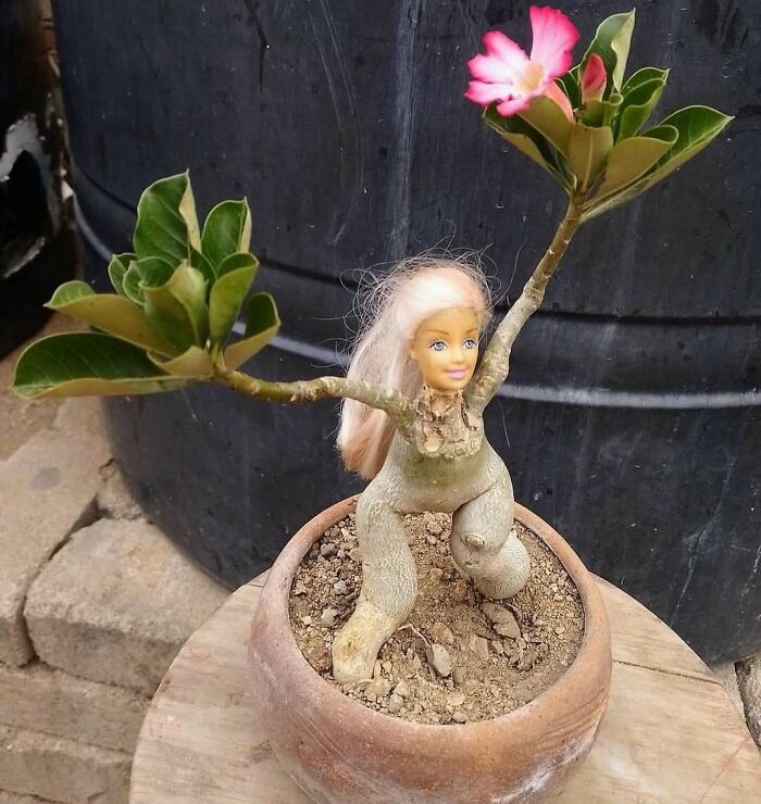 Unique garden creation featuring a doll head on a plant stem with branches as arms in a pot.