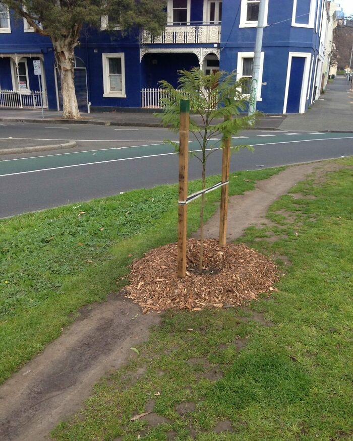 Pretty-Funny-Bad-Garden-Ig-Pictures