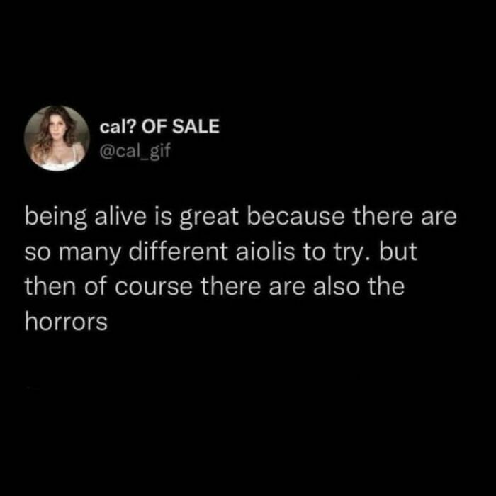 Funny food meme about trying different aiolis with humorous perspective on life.