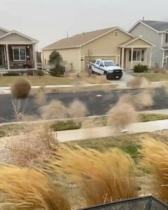 Tumbleweeds rolling through a suburban street, adding a unique touch to the garden landscape.