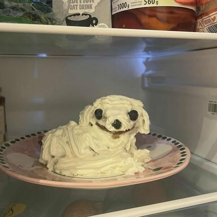 Confusing scene of a dessert shaped like a dog, with icing and cookies, inside a refrigerator.