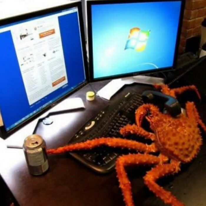 Crab on a desk with two computer screens, creating a confusing and funny scene without context.