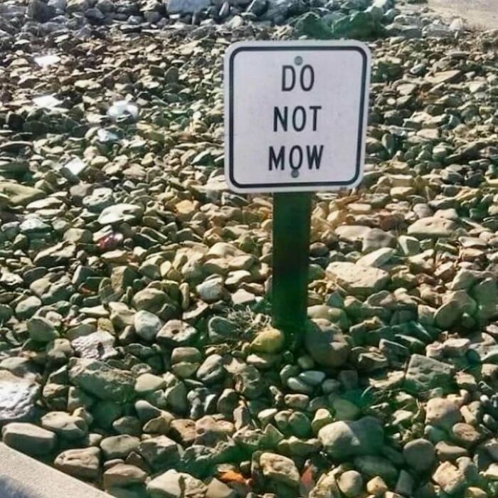 Unique garden with a "Do Not Mow" sign amid rocks.