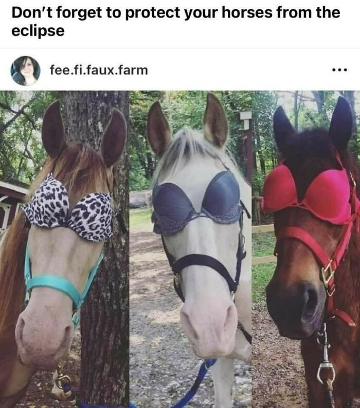 Funny-Country-Living-Memes