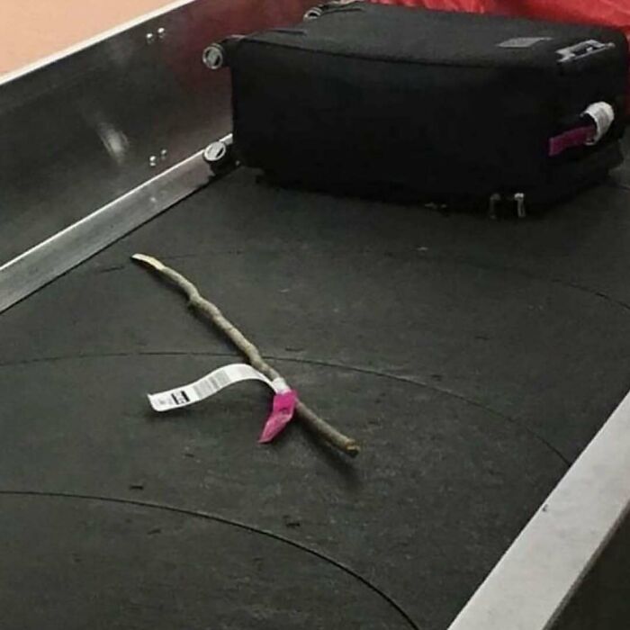 Unique garden stick on a luggage carousel, tagged like baggage.