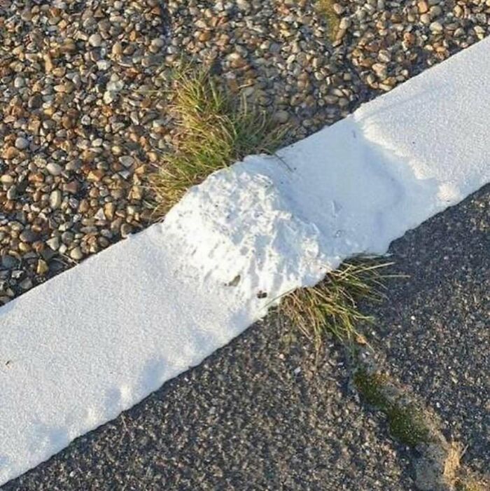 Unique garden feature with white-painted stone curbing and grass peeking through c*****d pavement.