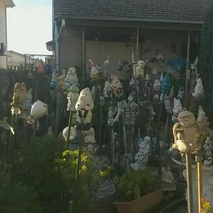 Unique garden with numerous garden gnome sculptures crowded together on sticks in a yard.